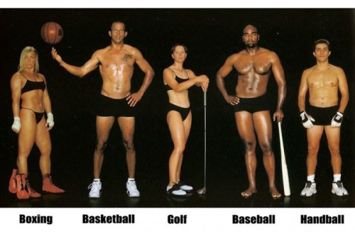 emt-monster:  Different body types for different sports.Source: Ebaums World