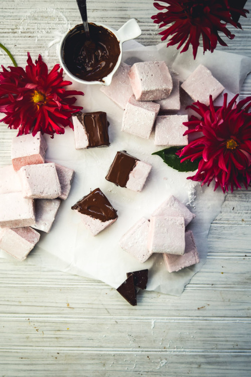 guardians-of-the-food: Chocolate Covered Fresh Strawberry Marshmallows