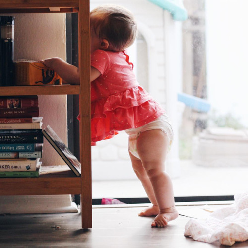 itsthesmallthing:First Stepsinstagram.com/sarasmith1021