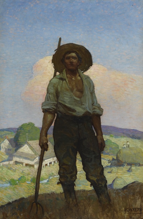   N.C. Wyeth   