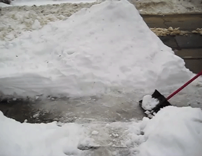 Porn Pics sizvideos:  This dog loves to shovel the
