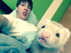 toughlifesantiago:  I love my ferret Larry.