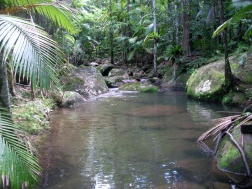 oceaniatropics:  Swimming hole, Boulder creek, Finch Hatton, Australia