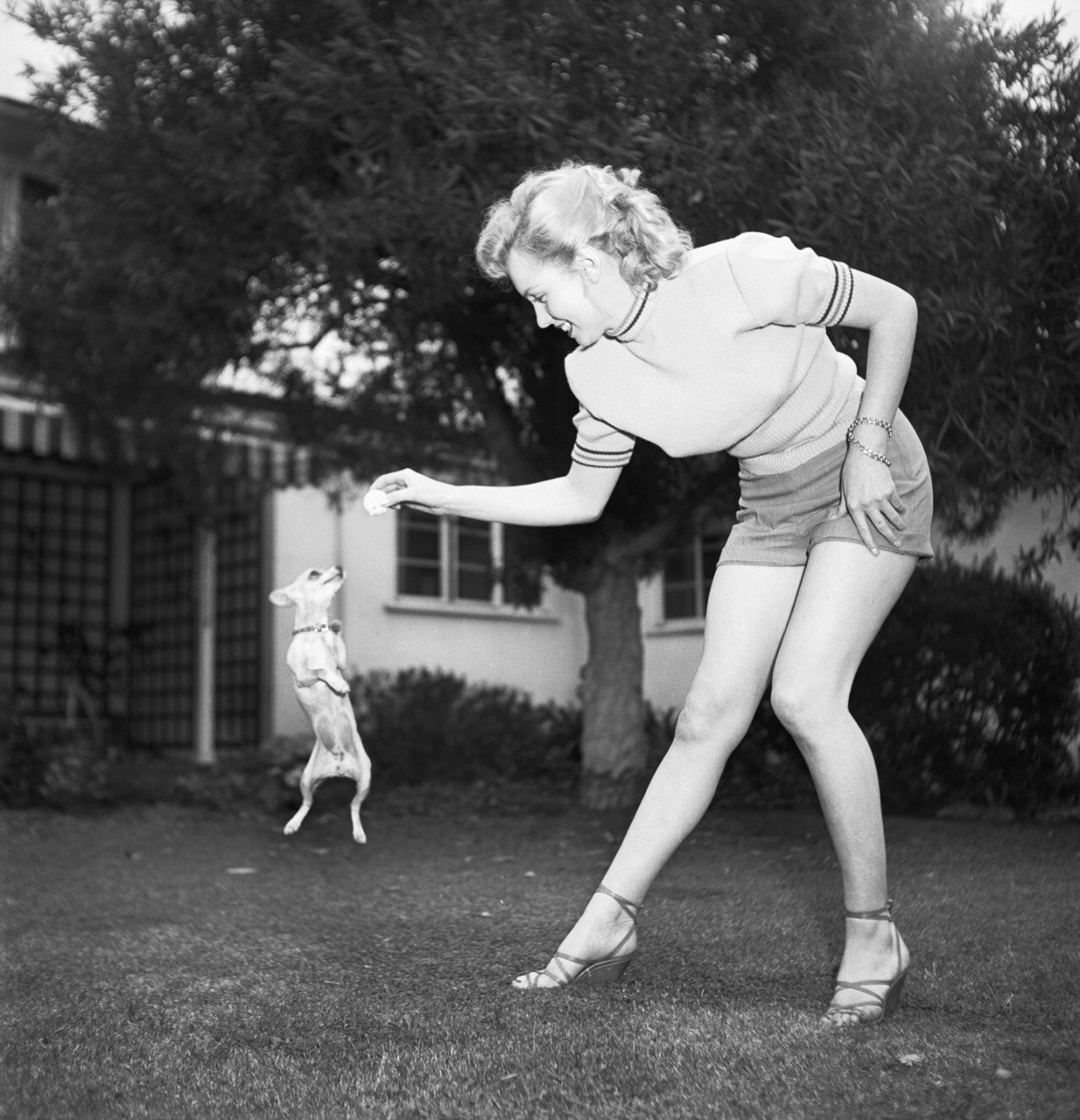 weirdlandtv:  Marilyn Monroe in May 1950, in the backyard of Johnny Hyde, the Hollywood