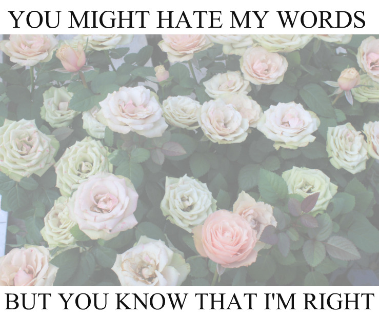 yellingatyourghost: Yellingatyourghost 