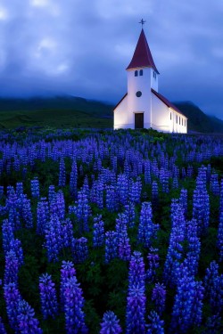 J-K-I-Ng:  “Vik Church“ By | Alex Berg