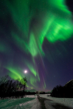 etherealvistas:  The arctic sky (Norway) by John A.Hemmingsen || Website