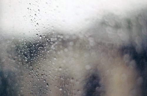 December 2015: The roadtrip and the downpour came unexpectedly. Two of my favorite things, next to b