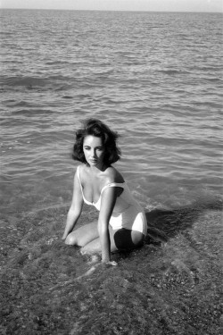 steroge:  Elizabeth Taylor on the set of “Suddenly, Last Summer”, in S’Agaro, Spain 1959Photo by Burt Glinn