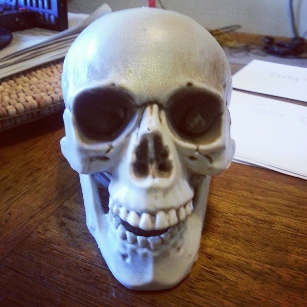 This is Armando, my favorite study buddy. #skulls #Halloween #halloweendecorations #sopunk #procrastination