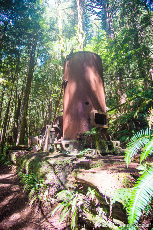 8.7.2014 - day 6 on the West Coast Trail - the final stretch of the trail towards Port Renfrew. So b