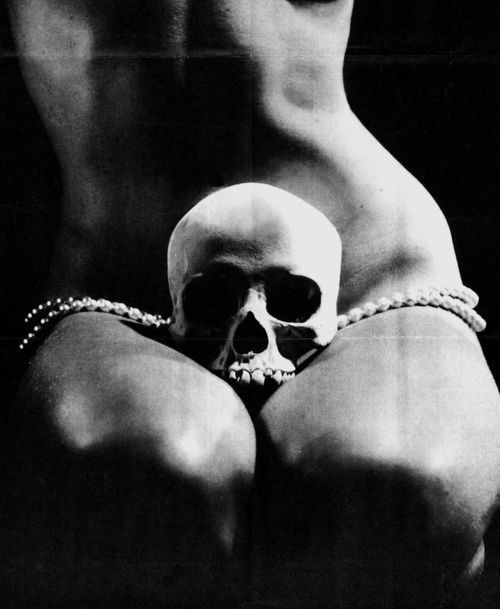 rot-n-roll:  🌙