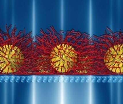 Janus-like nanoparticle membranesNanoparticles are known to self-assemble at the air-water interface