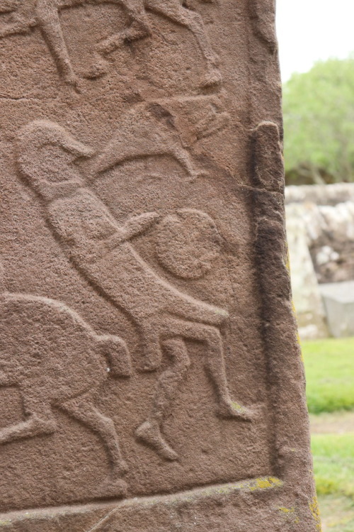 The Original Pictish &lsquo;Churchyard Cross&rsquo; Symbol Stone, Aberlemno, Angus, Scotland, 20.5.1