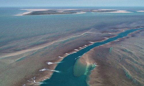 geologicaltravels:2018: Spectacular drone shots of Montgomery reef draining (contribution from Nicol