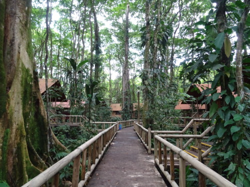 thelight-bringer:  Evergreen Lodge, Tortuguero, Costa Rica