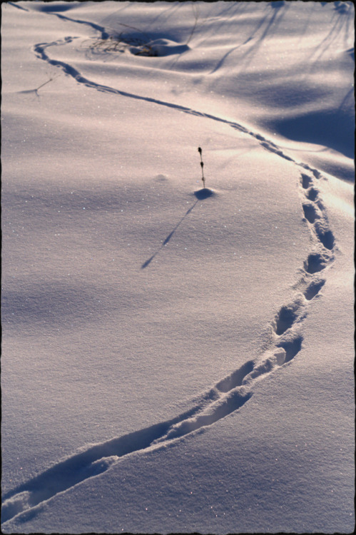 <9/365> The shortest day of the year • Naikorotshij denj rokuKolomija (Kolomea), Ukraine, Dece