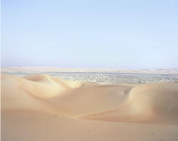 thephotoregistry:  Forestry Project, Liwa