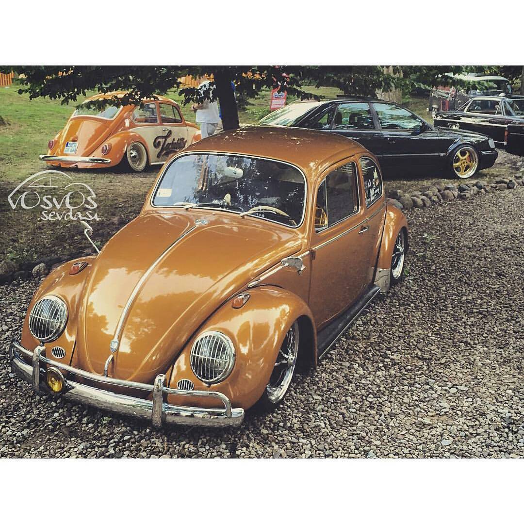 vosvossevdasi:  ™ #vosvossevdasi #vosvos #beetle #bug #kafer #fusca #vostalya #vostalya07