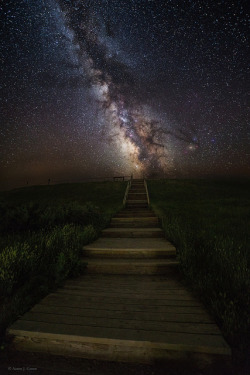 tulipnight:  Stairway to the Galaxy by HomeGroenPhotography on Flickr.