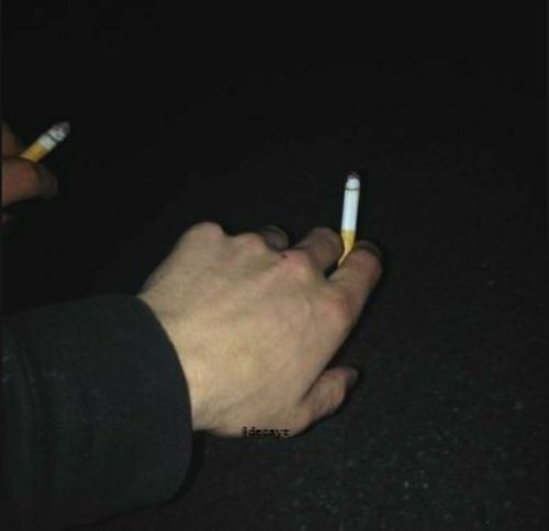 Stoner/gamer Insp0 Board