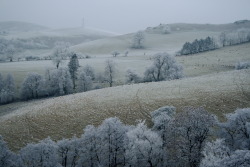 expressions-of-nature: Shropshire, England