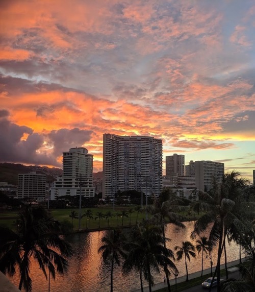 sleeplesscitiies:Waikiki sunrise