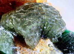 underthescopemin:  Mimetite, Malachite Photo Copyright © Michel Lemonnier