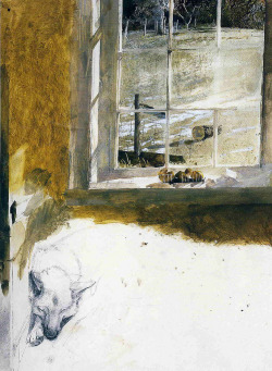 an-itinerant-poet:  Wild Dog (Study for Groundhog Dog) by Andrew Wyeth, 1959.