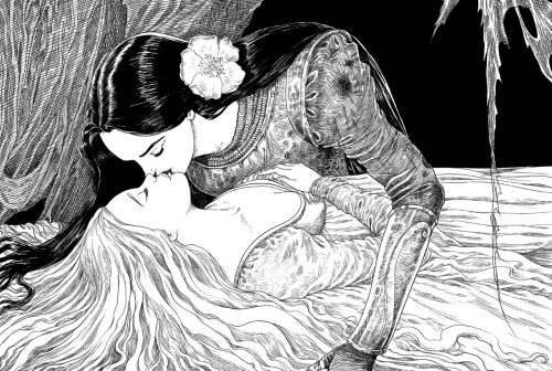 pyrrhics:Sleeper and the spindle by Chris Riddell