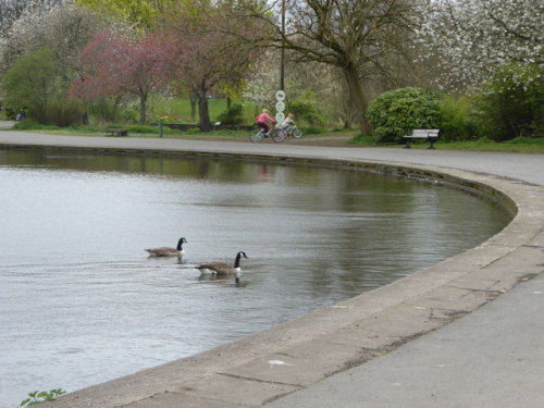 Boating Lake, Platt Fields Park, Manchester