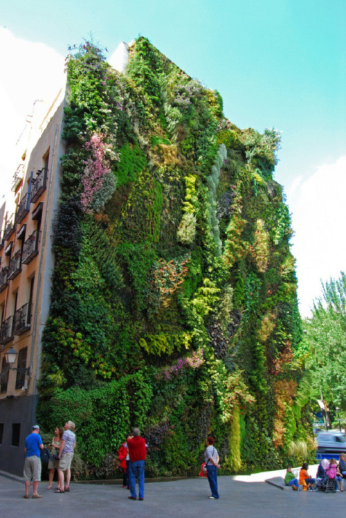 haloheliac:vertical garden systems