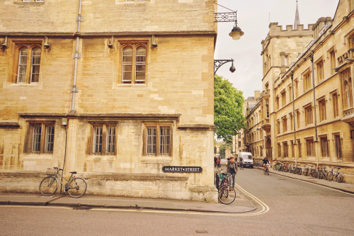 jacindaelena:   Vivienne Gucwa || Oxford 