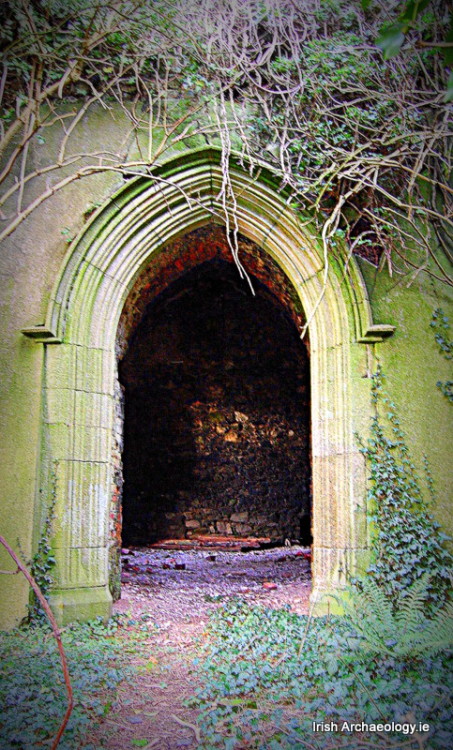Doorway into the abandoned ruins of Macmine castle, Ireland