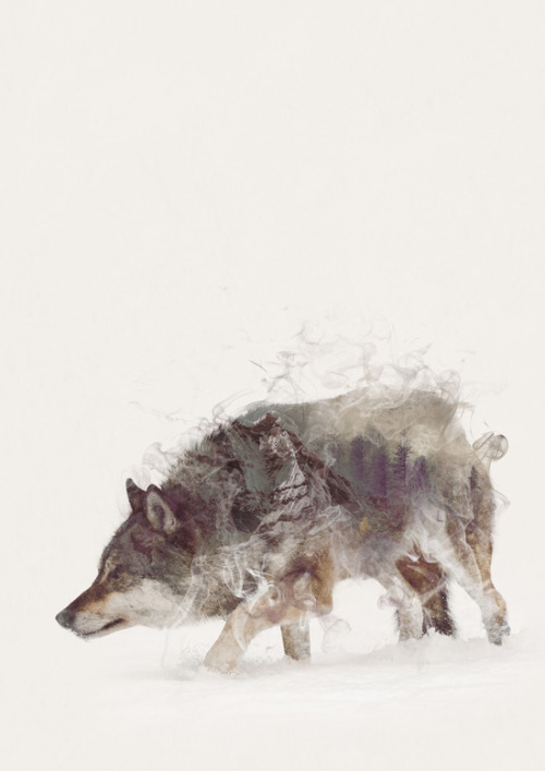 bestof-society6: ART PRINTS BY ONE MAN WORKSHOP The Wolf II The Bear Leopard Lion&nbs