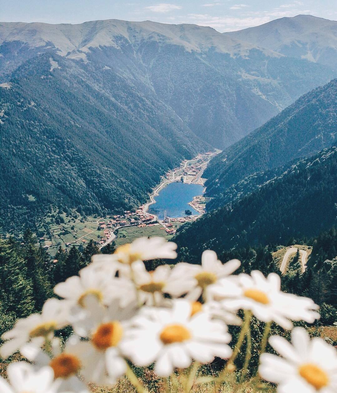 floralls:  Turkey by   ahmet.erdem  