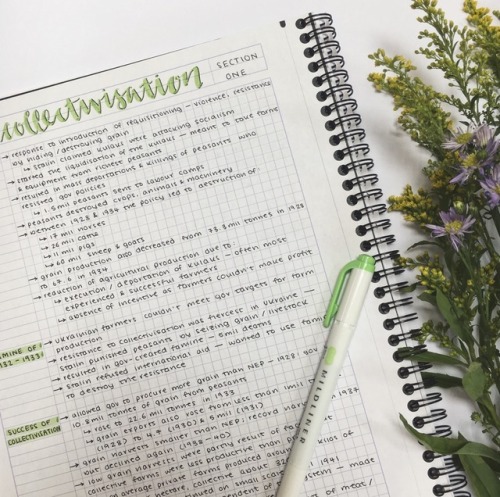 littlefawnstudies:3 1 . 0 5 . 2 0 1 7 | some notes for history i’m feeling super stressed and 
