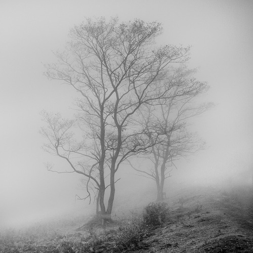 _MG_7041-1 by Aitor Jorge Pascua on Flickr.