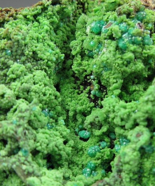 Conichalcite and Cuprian Adamite - Ojuela Mine, Mexico