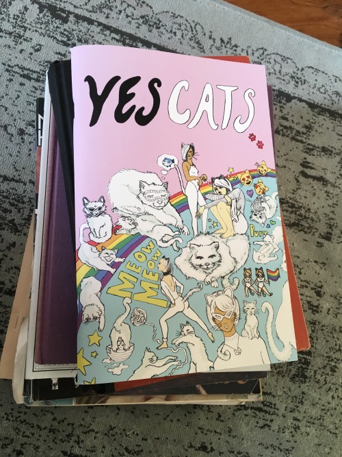 kristinnoeline: I don’t think anyone understands how in love I am with Yes Cats, a ZINE ABOUT 