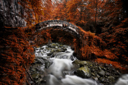 woodendreams:  (by Samet Güler)