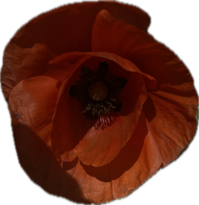 Flower Sticker