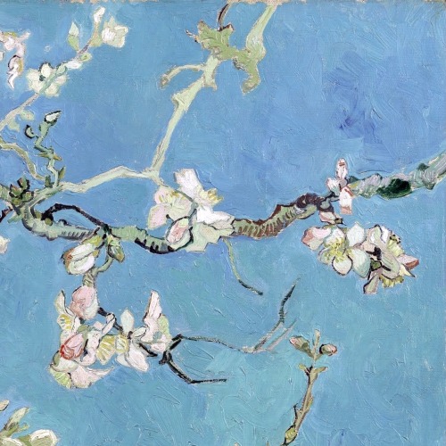 lonequixote:  Almond Blossom (detail) - Vincent van Gogh 1890 