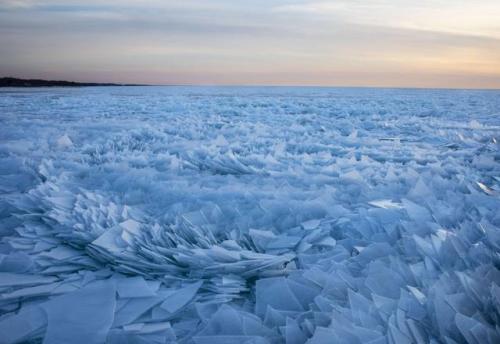 delphes:American Photographer, Joel Bissel, took stunning pictures of the frozen Michigan Lake in Chicago, covered by ice scales (x)