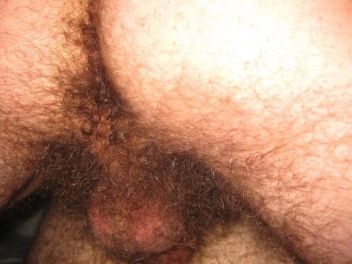manlybush: One of my hairiest photo sets ever! Check out all this man fur, pubic hair, hairy balls, 