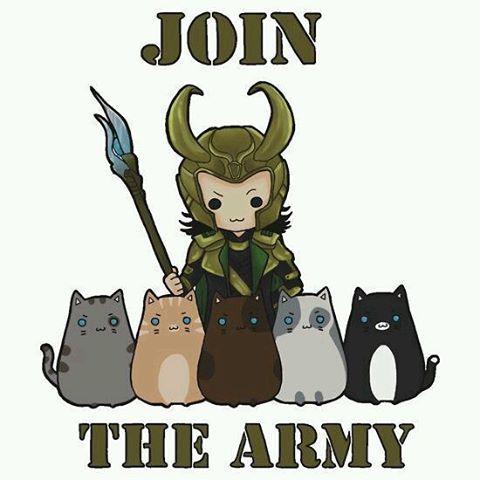 siennasaade: Join the Army!! :) #Army #Loki #Cats #JoinTheArmy (en San Martín de Montalb&aacu