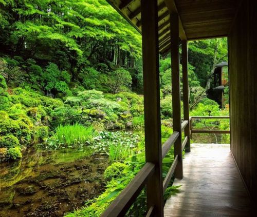 ⛳️1414. 光前寺庭園 Kozen-ji Temple Garden, Komagane, Nagano #国指定名勝 。先週末は松本〜南信州を旅行して来ましたその中で5年ぶりにこちらの庭園へ！ 