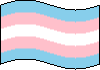 Transgender Flag (100 px)