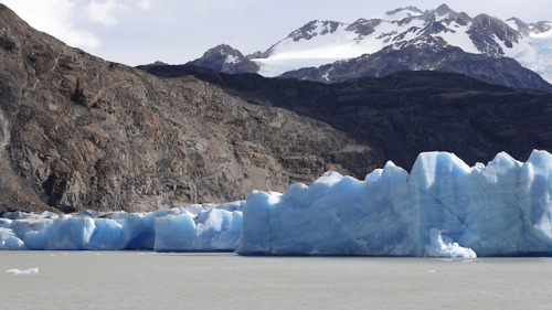 geologicaltravels:2016: Lago Grey and eponymous glacier