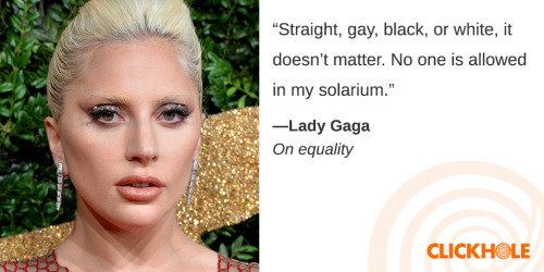 clickholeofficial:  Find Out What Lady Gaga, Gloria Steinem, And Amy Schumer Have To Say